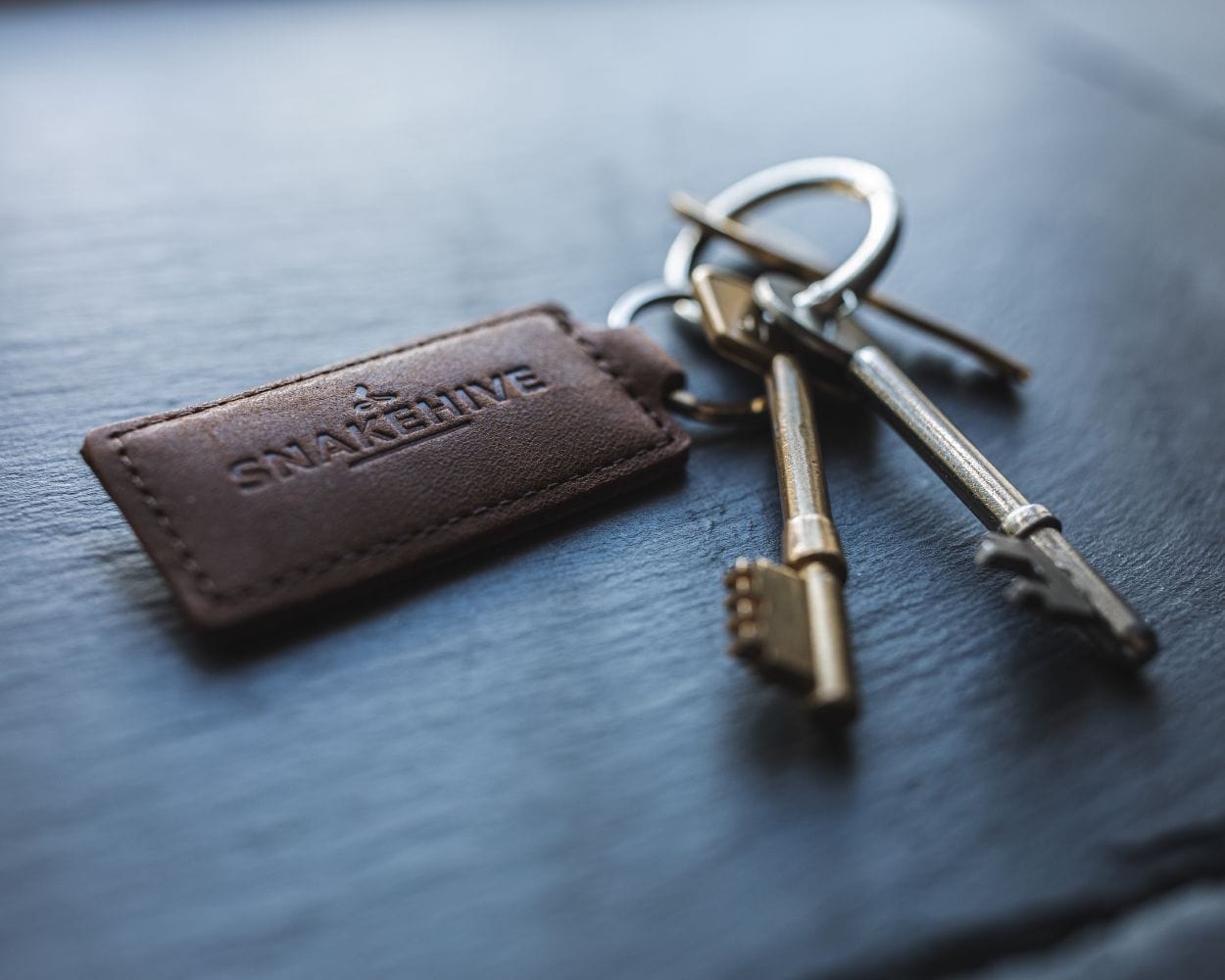 Vintage Key Ring - Snakehive UK